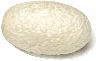 silk cocoon image
